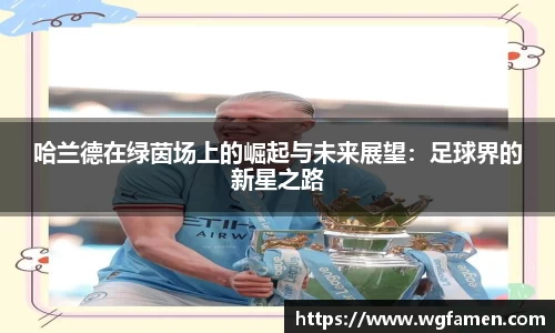 哈兰德在绿茵场上的崛起与未来展望：足球界的新星之路