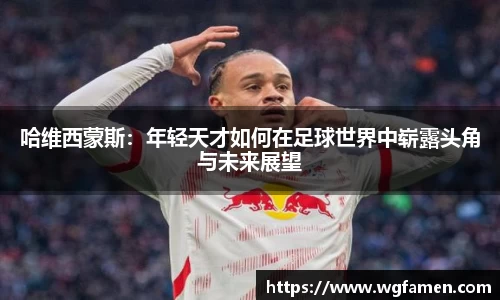 完美体育官网