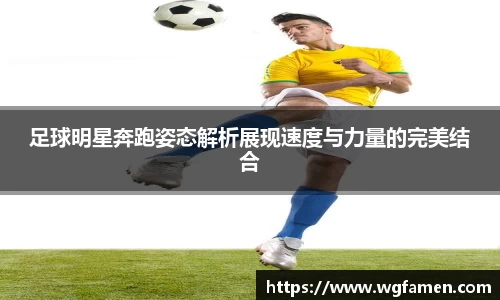 完美体育登录入口