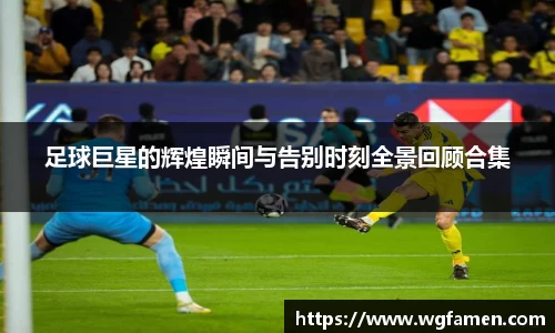 完美体育登录入口